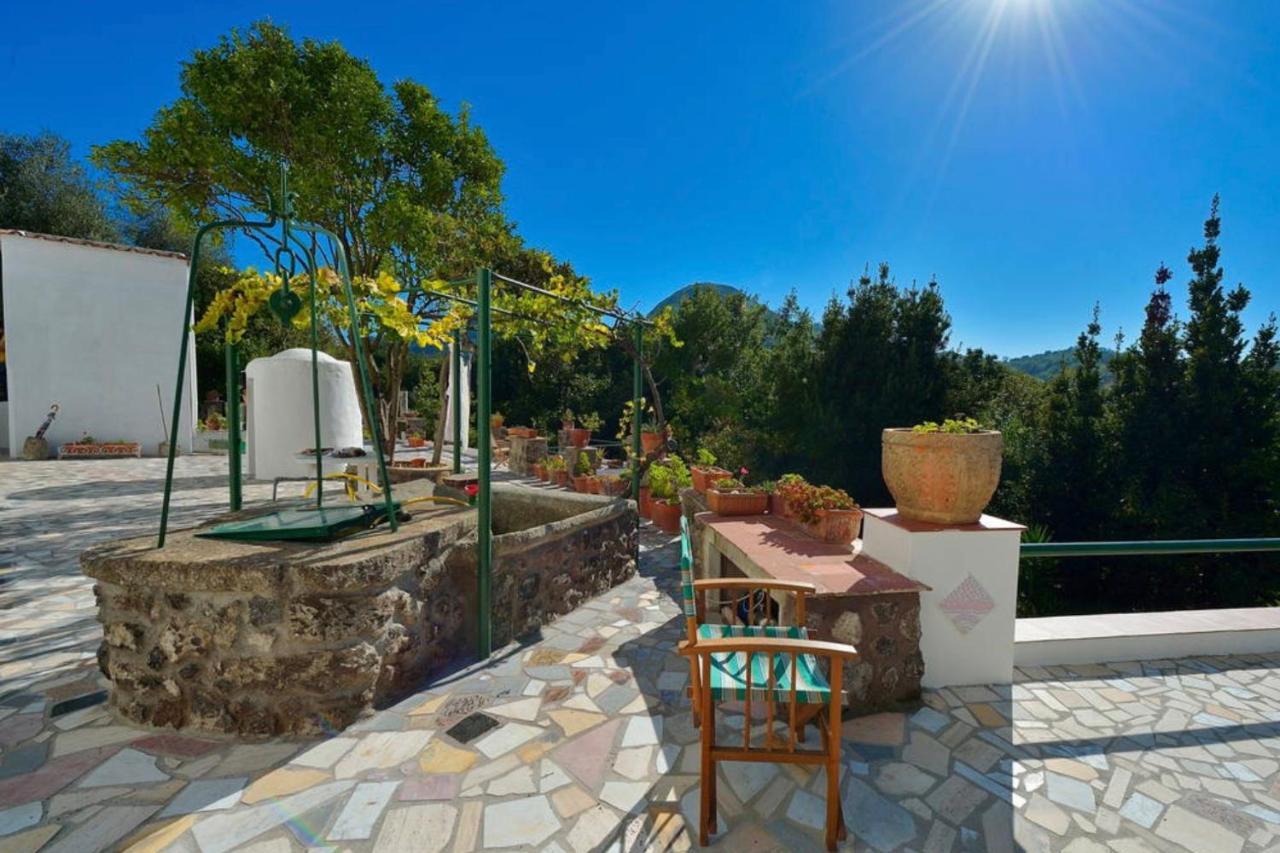 Villa Vincenzo Di Meglio Barano d'Ischia Exterior photo