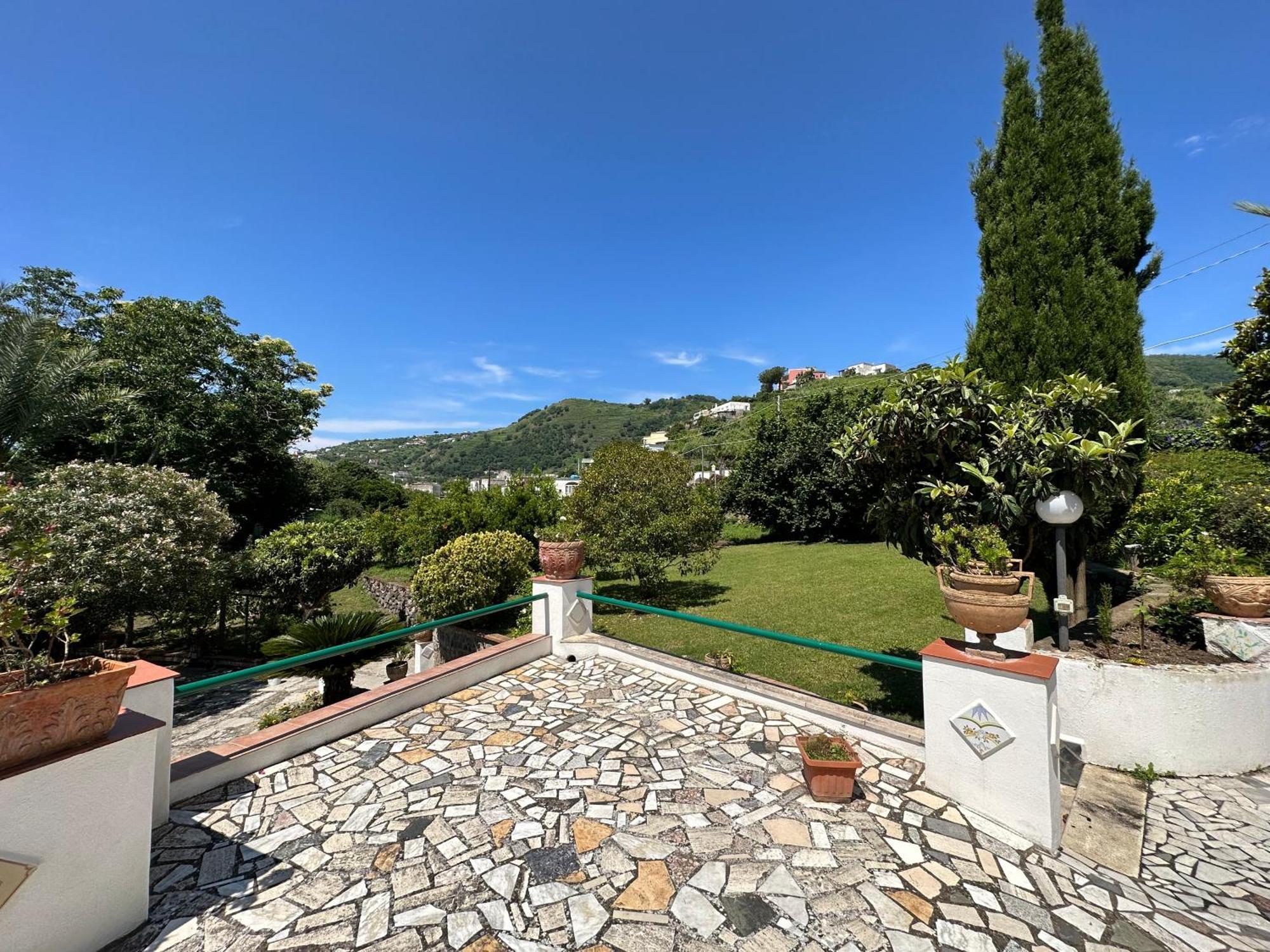 Villa Vincenzo Di Meglio Barano d'Ischia Exterior photo