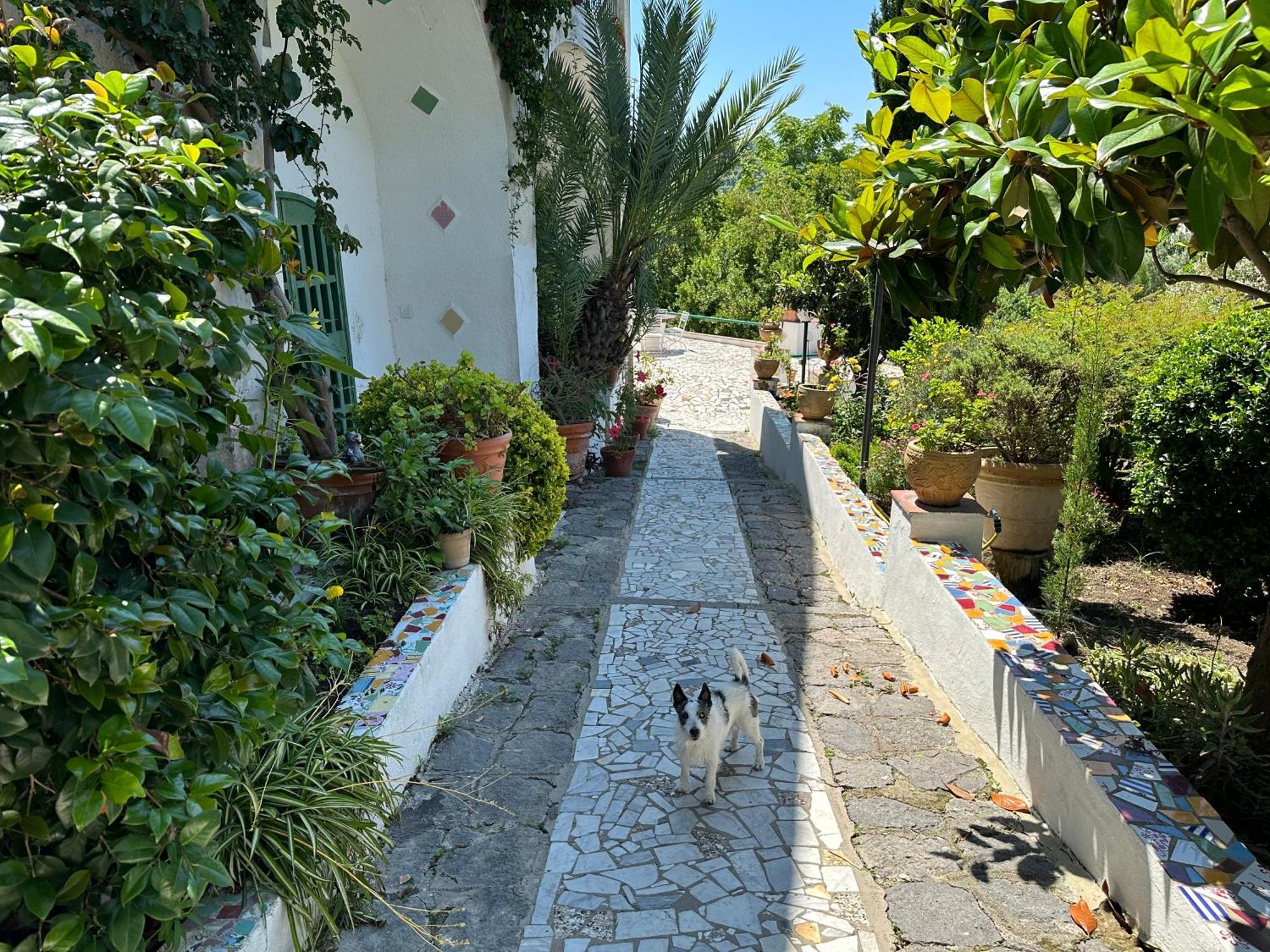 Villa Vincenzo Di Meglio Barano d'Ischia Exterior photo