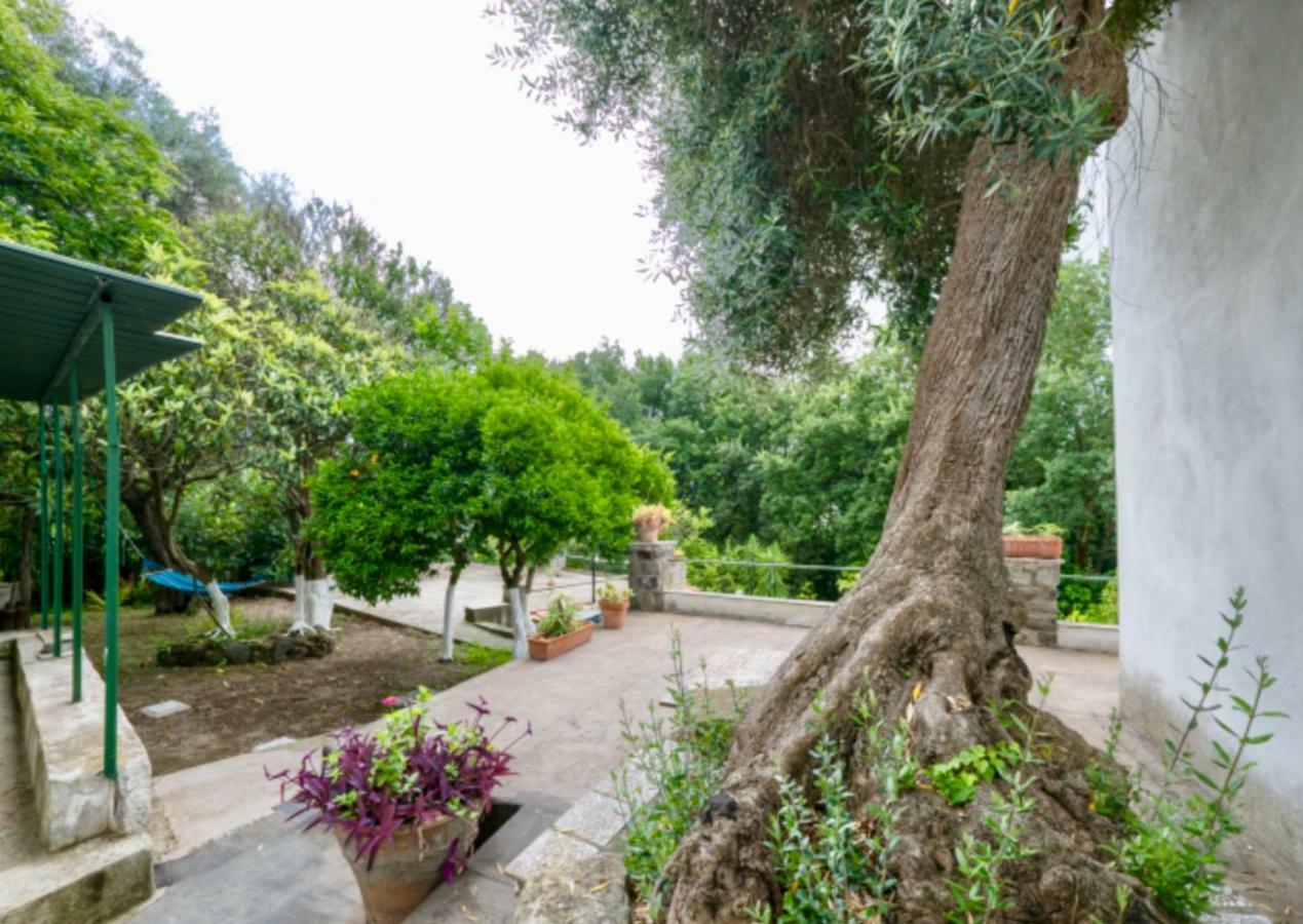 Villa Vincenzo Di Meglio Barano d'Ischia Exterior photo