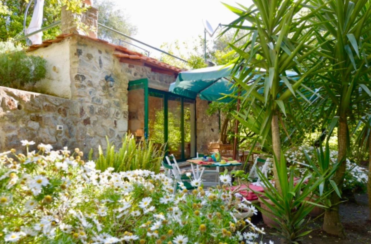 Villa Vincenzo Di Meglio Barano d'Ischia Exterior photo