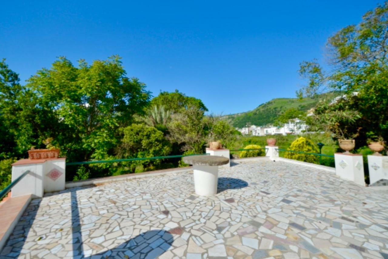 Villa Vincenzo Di Meglio Barano d'Ischia Exterior photo
